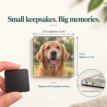 DIY Pet Memories Fridge Magnet Kit — size and finish